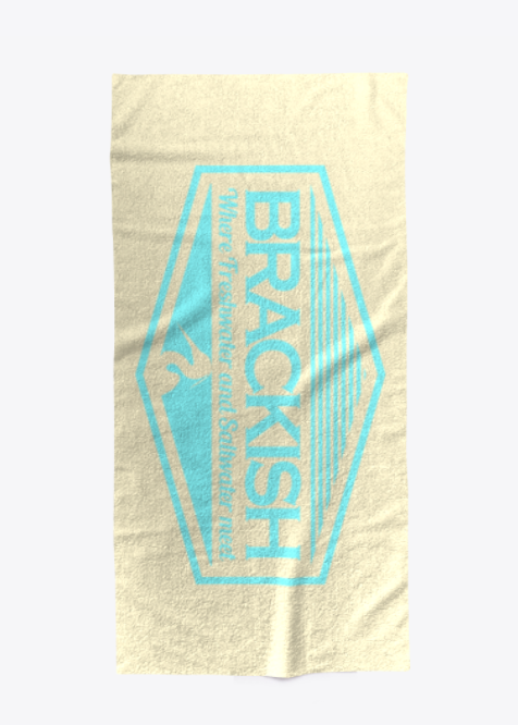 A Brakish beach towel