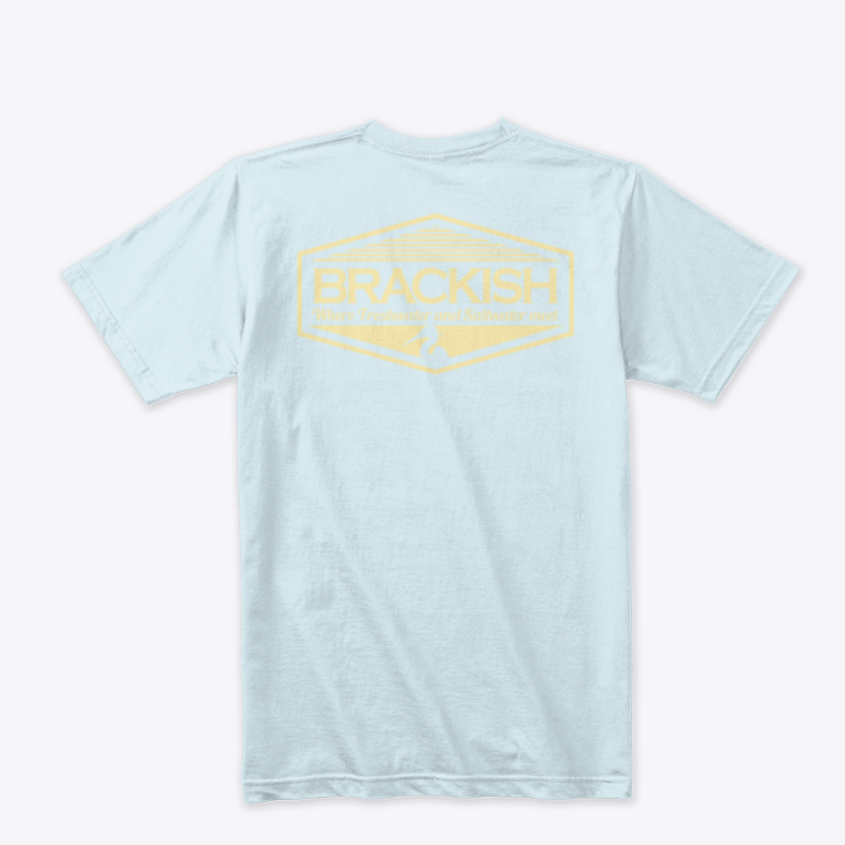 A Brakish shirt in light blue